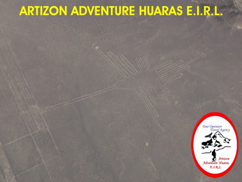 Colibri - Lineas de Nazca - Ica